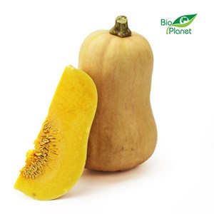 DYNIA PIŻMOWA (BUTTERNUT) ŚWIEŻA BIO (POLSKA) (około 1,20 kg)