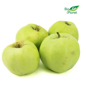 JABŁKA ŚWIEŻE BIO (ANTONÓWKA - POLSKA) (około 1,00 kg)