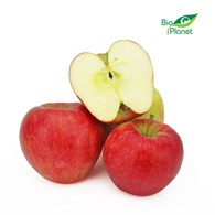 JABŁKA ŚWIEŻE BIO (GALMAC - POLSKA) (około 1,00 kg)