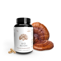 GRZYBY REISHI BIO (500 mg) 100 KAPSUŁEK - PILZE WOHLRAB