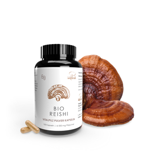 GRZYBY REISHI BIO (500 mg) 100 KAPSUŁEK - PILZE WOHLRAB