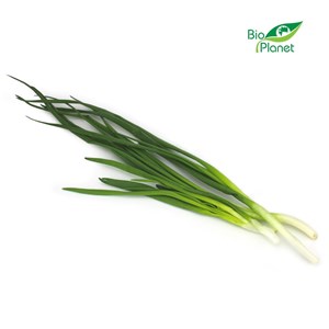 CEBULA ZE SZCZYPIORKIEM ŚWIEŻA BIO (około 0,12 kg)