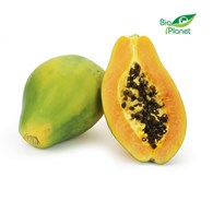 PAPAJA ŚWIEŻA BIO (około 0,60 kg)