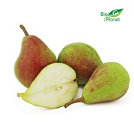 OPAKOWANIE ZBIORCZE (kg) - GRUSZKI NA SOK ŚWIEŻE BIO (POLSKA) (około 5 kg)