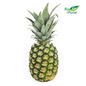 ANANAS ŚWIEŻY BIO (około 0,80 kg)