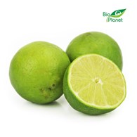 OPAKOWANIE ZBIORCZE (kg) - LIMONKI ŚWIEŻE BIO (około 4 kg)